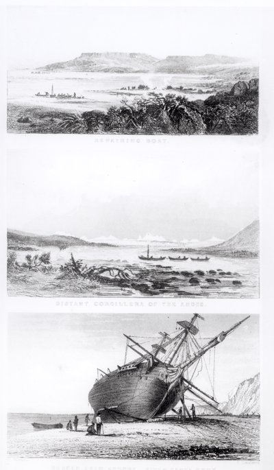 Scenes of the 